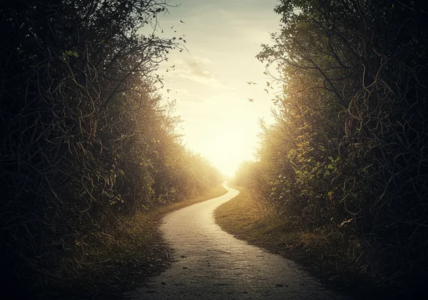 A path leading from darkness to light, symbolizing healing.